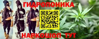 СК Кингисепп