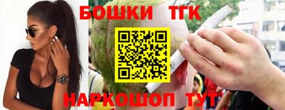 СК Кингисепп