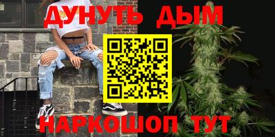 СК Кингисепп