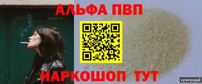 СК Кингисепп