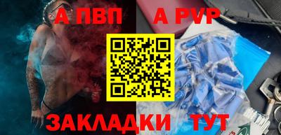 СК Кингисепп