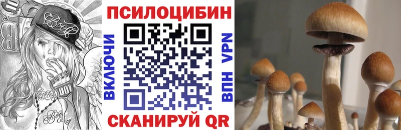 купить сайты Торжок Галлюциногенные грибы Magic Shrooms