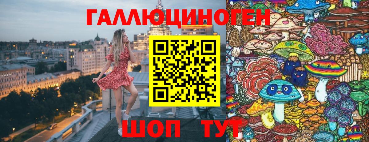 Псилоцибиновые грибы мицелий Торжок