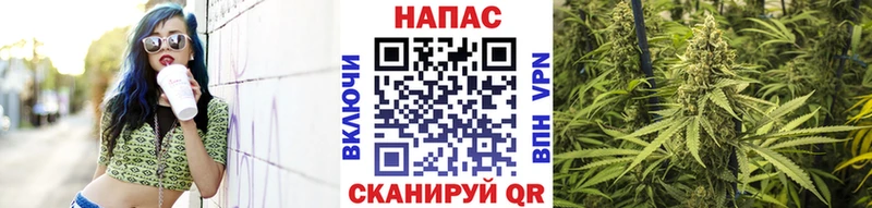 Канабис марихуана  где можно купить   Торжок 